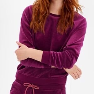 GAP Velour Sweatshirt in Huckleberry Purple Size Medium
